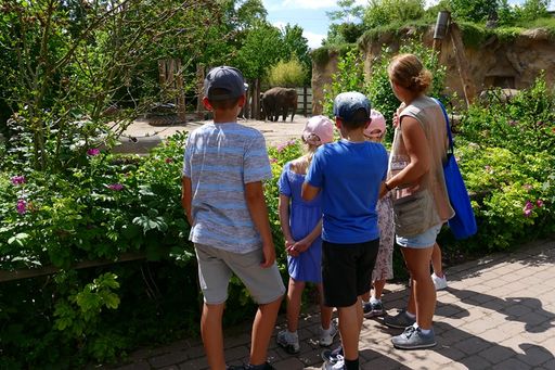  Moderne Zoos, wie der Zoo Heidelberg, begeistern große und kleine
Besuchende mit faszinierenden Erlebnissen für die Tierwelt. Bei der
Jahrestagung des Verbands der Zoologischen Gärten werden Strategien
zur Förderung des Umweltbewusstseins von den Expertinnen und
Experten weiterentwickelt. / Weiterer Text über ots und
www.presseportal.de/nr/129318 / Die Verwendung dieses Bildes für
redaktionelle Zwecke ist unter Beachtung aller mitgeteilten
Nutzungsbedingungen zulässig und dann auch honorarfrei.
Veröffentlichung ausschließlich mit Bildrechte-Hinweis.