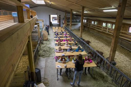  Klassenzimmer im Stall mit Land schafft Leben