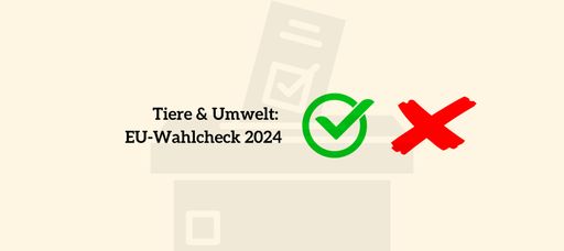 Alle Parteien im Check