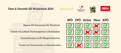 Vorschau Bild von Die Antworten der Parteien auf die wichtigsten Fragen