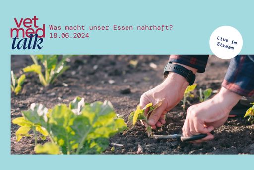  "Was macht unser Essen nahrhaft? Wie
Mikroorganismen, Lebensmittelqualität und Gesundheit zusammenhängen"