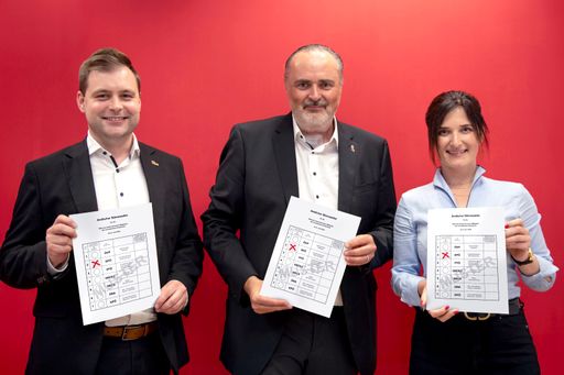 Friedl, Doskozil, Puchwein