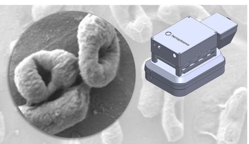  Oberflächendesinfektion mit Kaltem Plasma: terraplasma erreicht
mit dem mobilen Gerätprototyp tpTop einen wichtigen Meilenstein /
Weiterer Text über ots und www.presseportal.de/nr/174641 / Die
Verwendung dieses Bildes für redaktionelle Zwecke ist unter
Beachtung aller mitgeteilten Nutzungsbedingungen zulässig und dann
auch honorarfrei. Veröffentlichung ausschließlich mit
Bildrechte-Hinweis.