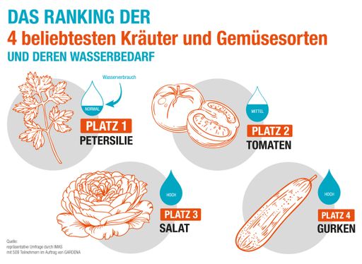Vorschau Bild von Mit cleveren Bewässerungslösungen lassen sich
anspruchsvolle Kräuter- und Gemüsepflanzen besonders effizient und
direkt an der Wurzel bewässern.