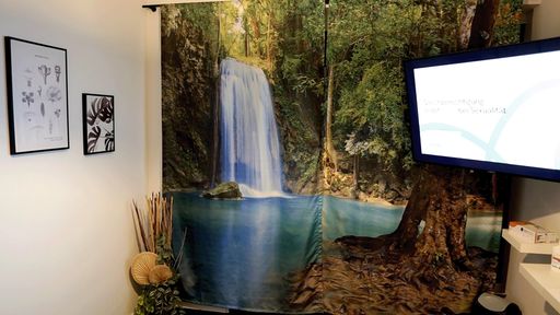 Vorschau Bild von Themenraum Into The Jungle