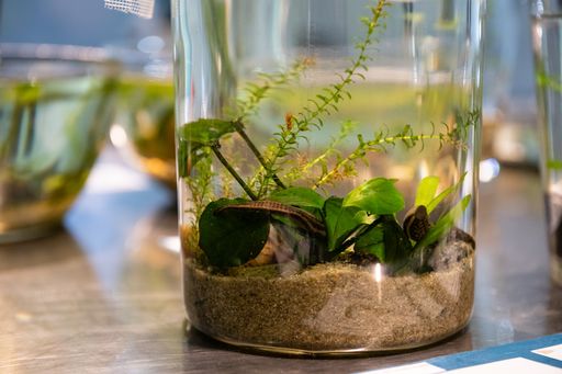 Vorschau Bild von Im Bildungszentrum UnterWasserReich des Naturparks
gibts laufend neue Ausstellungen