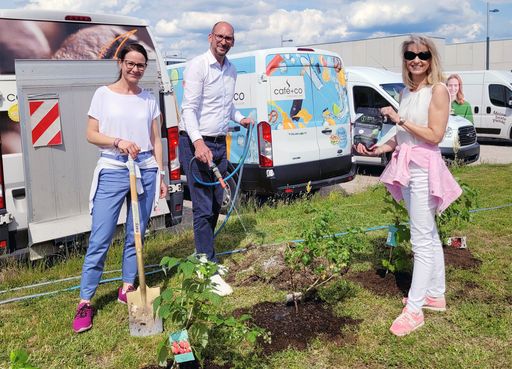 Sonja Fahrner-Poszvek, Gerald Matzner-Holsmer (CEO,
café+co Österreich) und Michaela Löwe-Reitbauer beim Pflanzen des
café+co Naschgarten, wo der Ganzjahres-Pflanzendünger aus Kaffeesud
zum Einsatz kam.