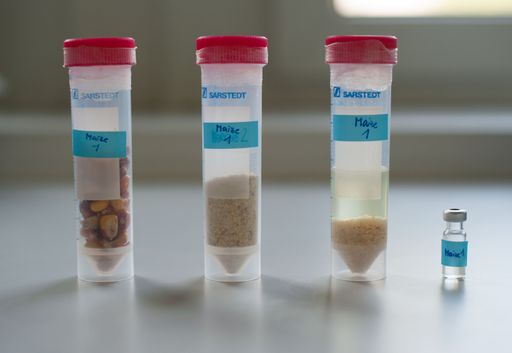 Vorschau Bild von FFoQSI Forschung Imagebild Proben