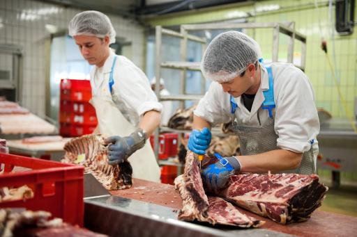 Vorschau Bild von Ein Blick in die KARNERTA Fleischproduktion