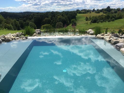 Vorschau Bild von Die Filterung funktioniert biologisch in einem
Seitenschacht. Wer Pflanzen liebt, kann ein Zusatzbecken mit
Flachwasser ergänzen.