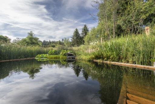 Vorschau Bild von Wen Frösche und leichte Trübungen im Wasser nicht
stören, ist möglicherweise ein Schwimmteichtyp.