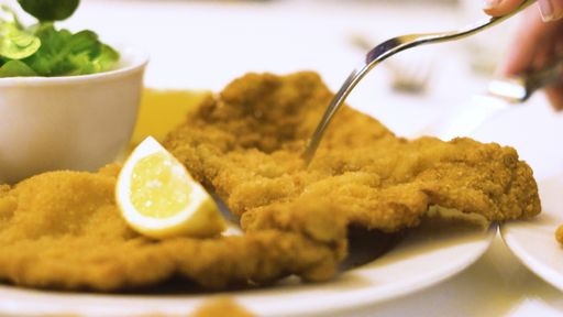 Die Dokumentation „Schnitzel und andere Festtagsgerichte“ holte
beim US International Filmfestival in Los Angeles mit dem Silver
Award die begehrte Auszeichnung.