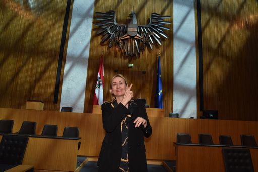 Vorschau Bild von Anerkennung der Gebärdensprache im Parlament im
Jahr 2005.