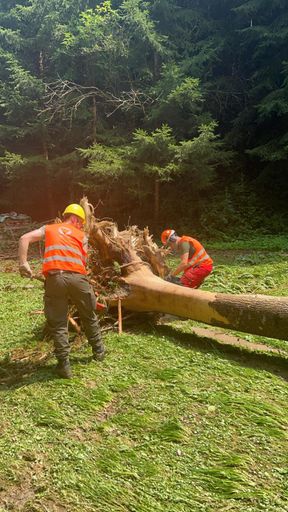 Vorschau Bild von Soldaten lösen Verklausungen nach dem schweren Unwetter in
Teigitschgraben bei Voitsberg.