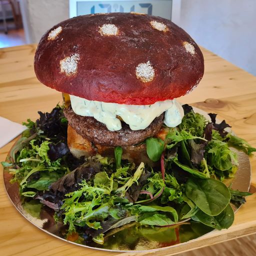  Sieger des Monsterburger Wetttbewerbs Reichenau
2023 - heuer gibt es doppelt so viele Anmeldungen - wer wird
Monsterburger Champion der Berge 2024?