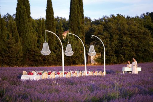 Vorschau Bild von Lavendelfeld in der Provence / Weiterer Text über ots und
www.presseportal.de/nr/104492 / Die Verwendung dieses Bildes für
redaktionelle Zwecke ist unter Beachtung aller mitgeteilten
Nutzungsbedingungen zulässig und dann auch honorarfrei.
Veröffentlichung ausschließlich mit Bildrechte-Hinweis.