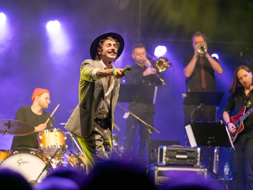 Vorschau Bild von Voodoo Jürgens am 20.7.24 auf der Donaubühne Tulln