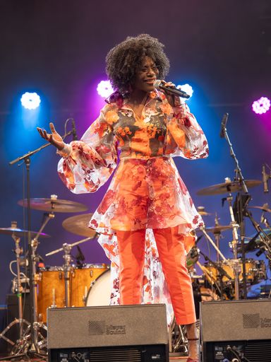 Vorschau Bild von Dorretta Carter am 20.7.24 auf der Donaubühne Tulln