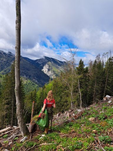  Aufforstung im Zuge der Baumpass-Aktion in Frein,
Steiermark
