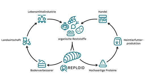 Die Kreislaufwirtschaft von Reploid.