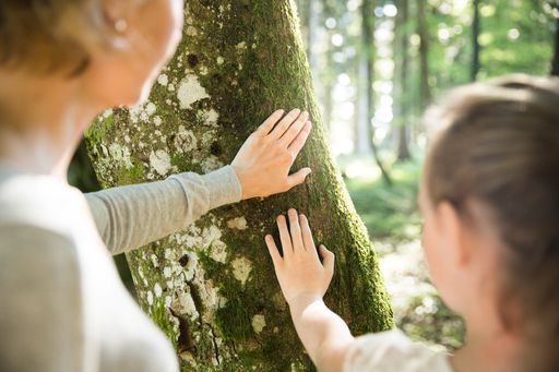 Vorschau Bild von Bei einer Beisetzung auf dem Waldfriedhof wird eine
Verbindung mit der Natur geschaffen die ewig anhält.