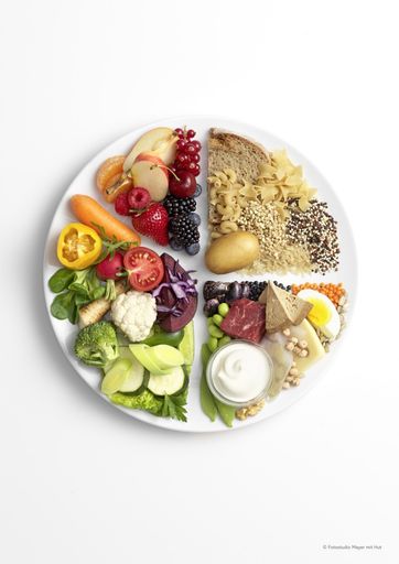 Vorschau Bild von Tellermodell des BMSGPK mit Verhältnis der Lebensmittelgruppen. © Fotostudio Mayer mit Hut