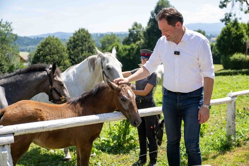  Lipizzanergestüt Piber: Spatenstich für neue Heulagerhalle