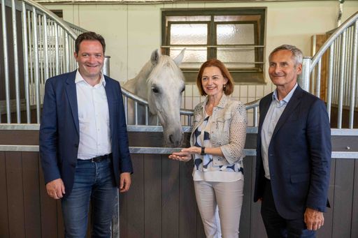 Vorschau Bild von Lipizzanergestüt Piber: Spatenstich für neue Heulagerhalle