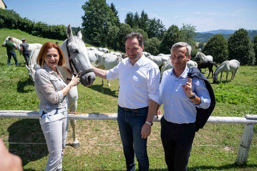 Vorschau Bild von Lipizzanergestüt Piber: Spatenstich für neue Heulagerhalle