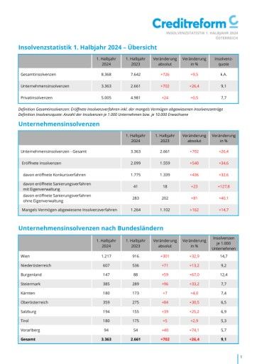 Vorschau Bild von Insolvenzstatistik 1. Halbjahr 2024