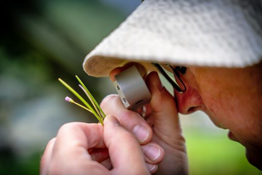  Einer der über 75 ehrenamtlichen Experten bei der
Arbeit