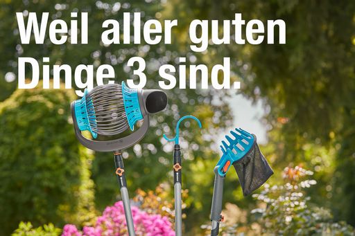 Aller guten Dinge sind 3 – nützliche Helfer für die Apfelernte