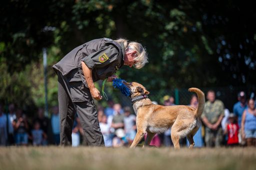 Bundesheer: 60 Jahre Militärhundezentrum