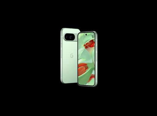 Vorschau Bild von Pixel 9 in Wintergreen
