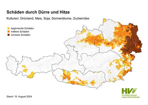 Hail insurance: First loss report shows total damage of 200 million euros