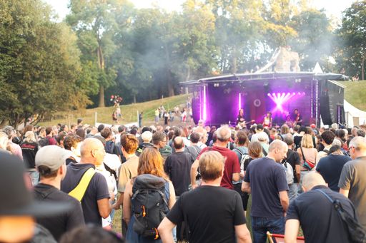Besucher:innen am Volksstimmefest 2023