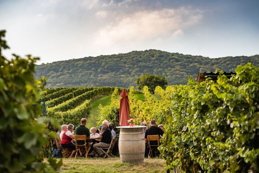 Wandern, verkosten, genießen auf der "längsten Schank der Welt"