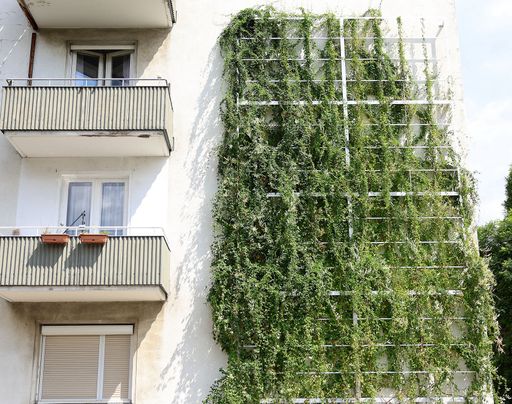  Fassadenbegrünung in der Jägerstraße in Wien