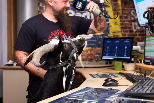  Der Rocksender Radio 88.6 ist ja für außergewöhnliche Aktionen
bekannt, doch diesmal haben sie “den Bock abgeschossen”. Radio
88.6-Morningshow-Anchor “Der Timpel” kommt rechtzeitig zum
Schulstart aus seiner Sommerpause zurück - und das mit
buchstäblichen Rock-Horns! Er ist mit einem Ziegenbock ins Studio
gekommen!