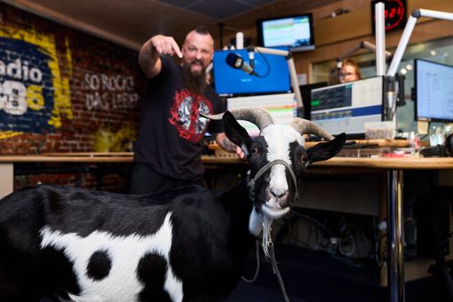 Vorschau Bild von Der Rocksender Radio 88.6 ist ja für außergewöhnliche Aktionen
bekannt, doch diesmal haben sie “den Bock abgeschossen”. Radio
88.6-Morningshow-Anchor “Der Timpel” kommt rechtzeitig zum
Schulstart aus seiner Sommerpause zurück - und das mit
buchstäblichen Rock-Horns! Er ist mit einem Ziegenbock ins Studio
gekommen!