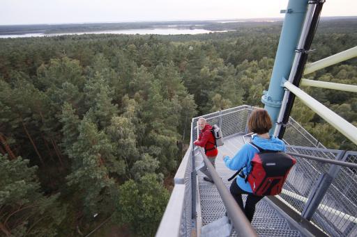 Vorschau Bild von Wanderpärchen auf dem Käflingsbergturm im Müritz Nationalpark mit
Ausblick auf die Mecklenburgische Seenplatte