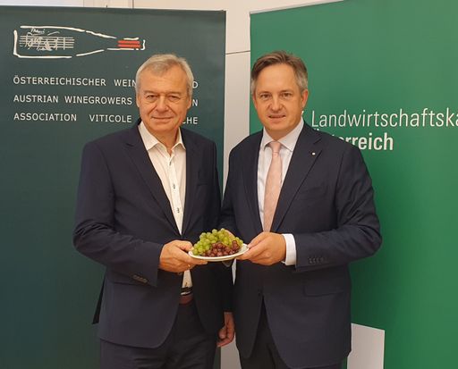  Der Geschäftsführer des Österreichischen Weinbauverbands,
LKÖ-Weinreferatsleiter Josef Glatt, und der Präsident des
Österreichischen Weinbauverbands und der LK Niederösterreich,
Johannes Schmuckenschlager beim heutigen Pressegespräch zur
Weinernte 2024