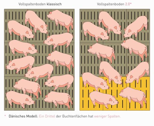Vorschau Bild von Vergleich klassischer Vollspaltenboden mit Vollspaltenboden, der
für Neu- und Umbauten von Ställen gilt.
