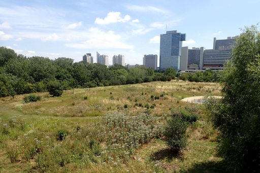 Press event September 18, 2024, 10:00 a.m., groundbreaking: New wetland habitat for a butterfly meadow in the Donaupark in Donaustadt