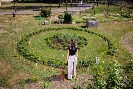 Eine Person mit langen Haaren steht auf einem Friedhof und schaut
auf einen kreisförmigen Bereich mit Pflanzen, der von Holzpflöcken
umgeben ist. Neben der Person sitzt ein kleiner brauner Hund auf dem
Gras.