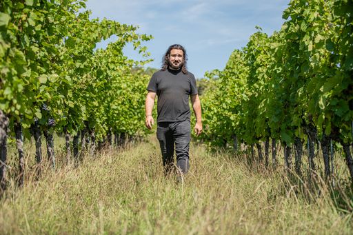 Vorschau Bild von Winzer Markus Faulhammer in seinen biologisch bewirtschafteten
Weingärten