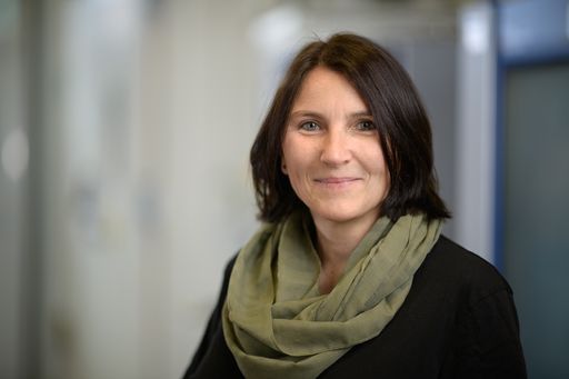 DI Dr. Gabriele C. Eder, Vorstandsmitglied der Austrian
Technology Plattform Photovoltaic und Kongresspräsidentin der
European Photovoltaic Solar Energy Conference and Exhibition (EU
PVSEC)