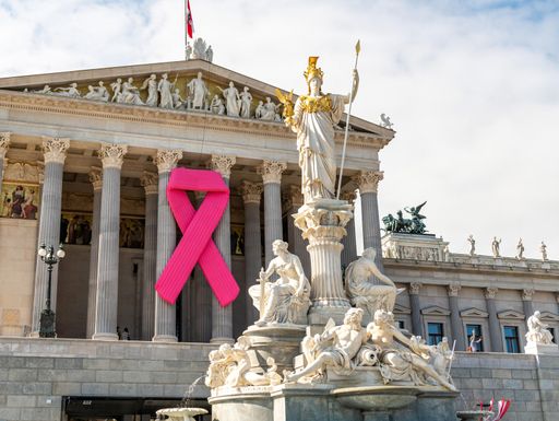 Österreichisches Parlament mit dem "Pink Ribbon"