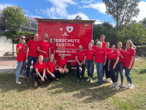 Vorschau Bild von Mitarbeitende von Mars Austria unterstützen das Tierschutzhaus in
Vösendorf im Rahmen des Mars Volunteer Programms