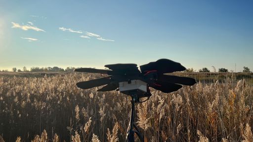  Nature Guardians im Nationalpark Neusiedler See-Seewinkel
